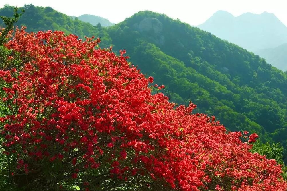 昂天堂传说_天堂山传说_天堂的传说