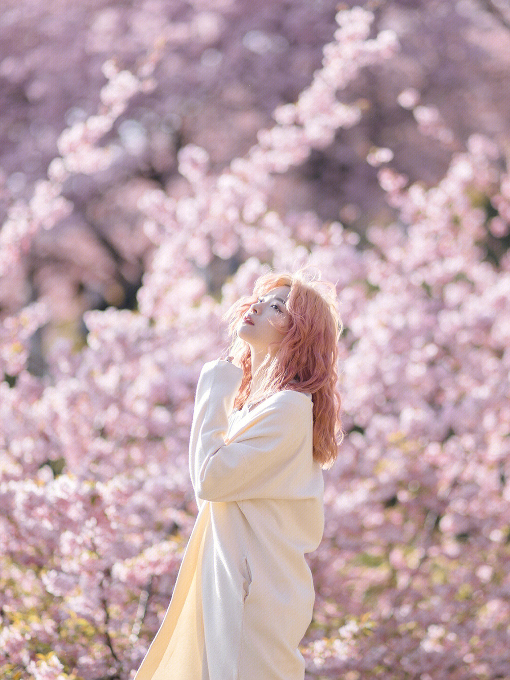 周韦彤日本高清写真_日本美女写真_日本h罩杯女星写真