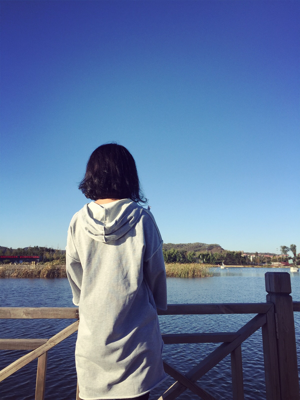 背影短发女生图片大全_背影短发女生图片动漫_女生短发背影图片