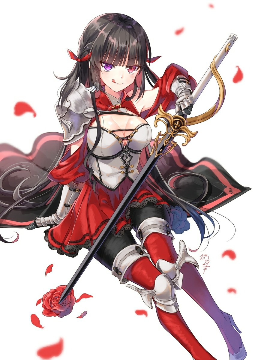 征服骑士汽车_征服骑士弱点_姬骑士征服战争磁力