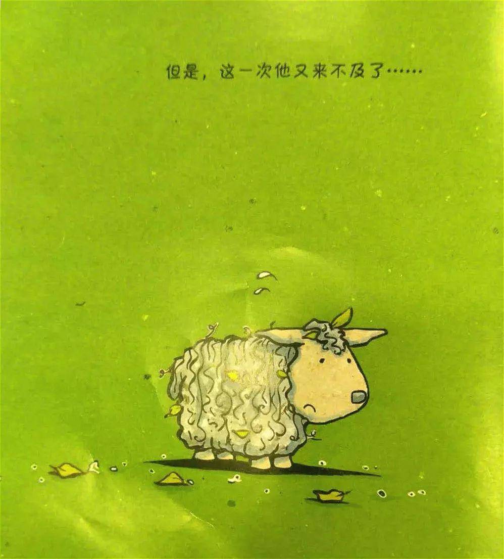 小小羊提米_小羊提米和肖恩区别_小羊提米是哪个国家的