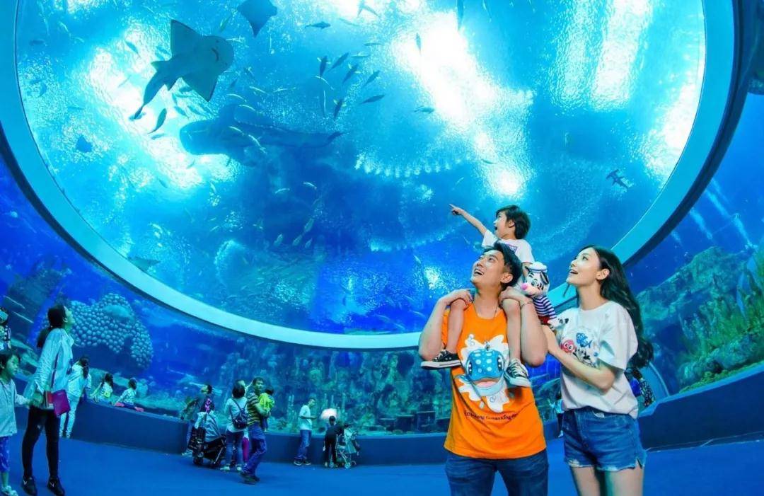 q宠大乐斗q游记礼包_q宠大乐斗许愿_q宠旅游