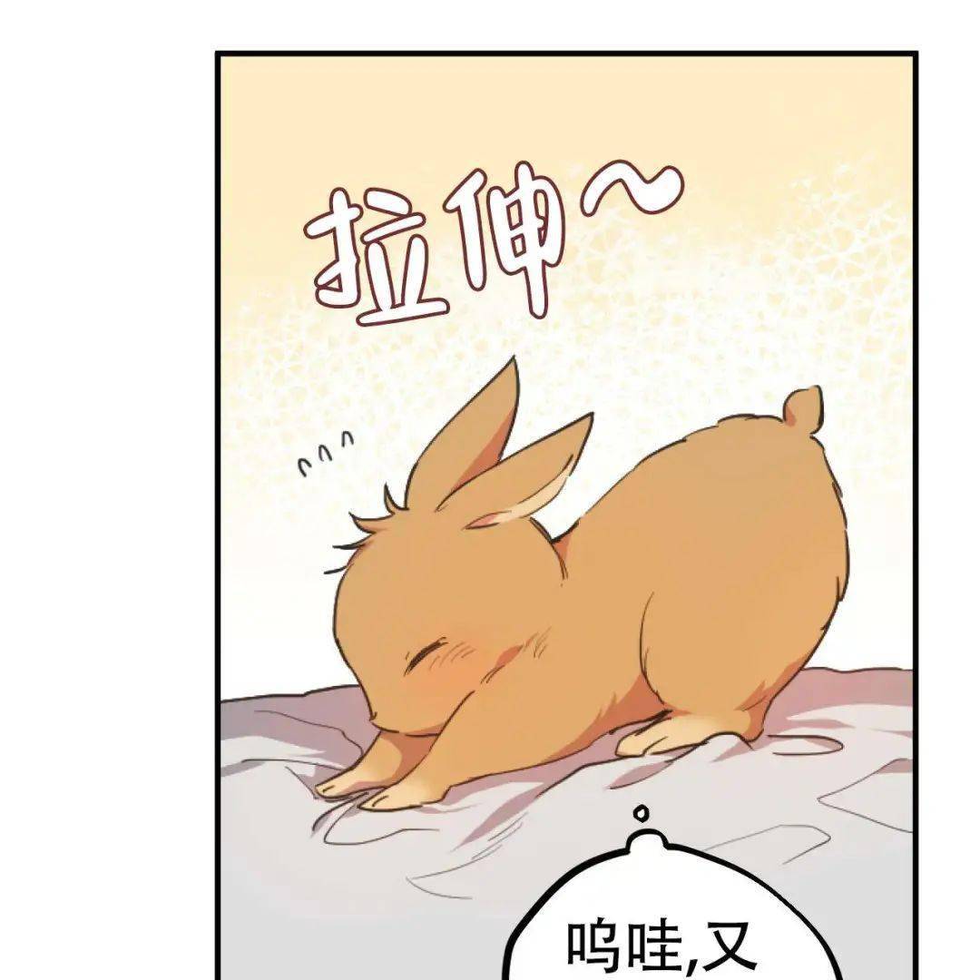 兔兔漫画_漫画兔兔图片_漫画兔兔头像
