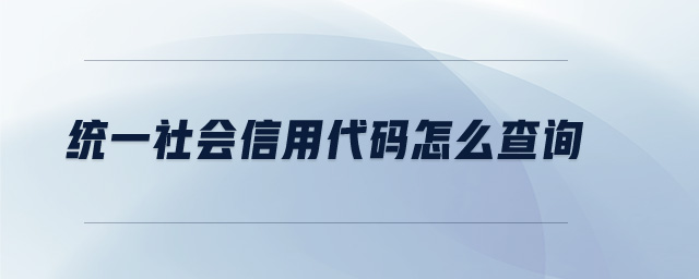 信用入口查询代码系统怎么查_信用代码查询系统入口_什么是信用代码查询