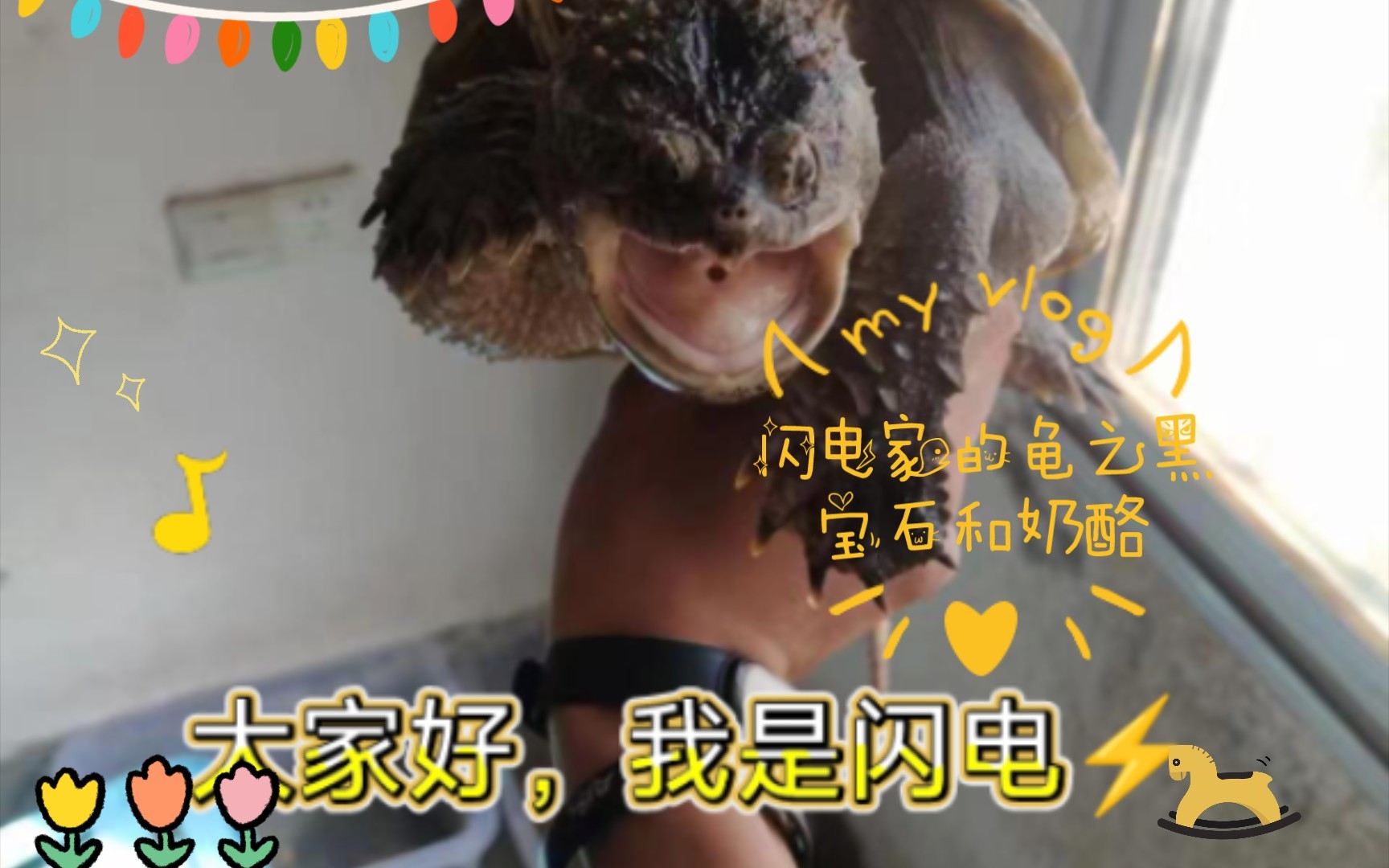 闪电龟下载安装_闪电龟_闪电龟下载