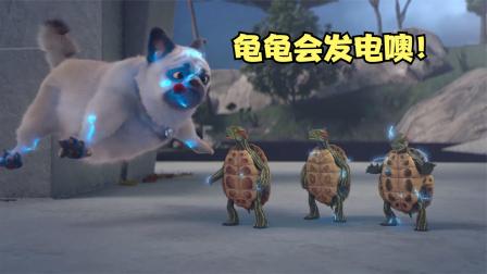 闪电龟_闪电龟下载安装_闪电龟下载