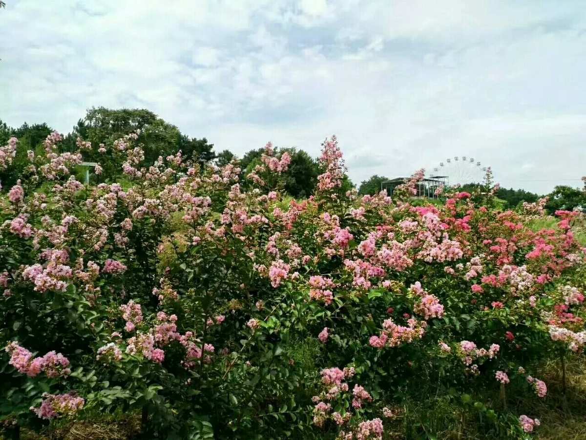 木兰温泉记_木兰的温泉故事一二_木兰温泉二三事