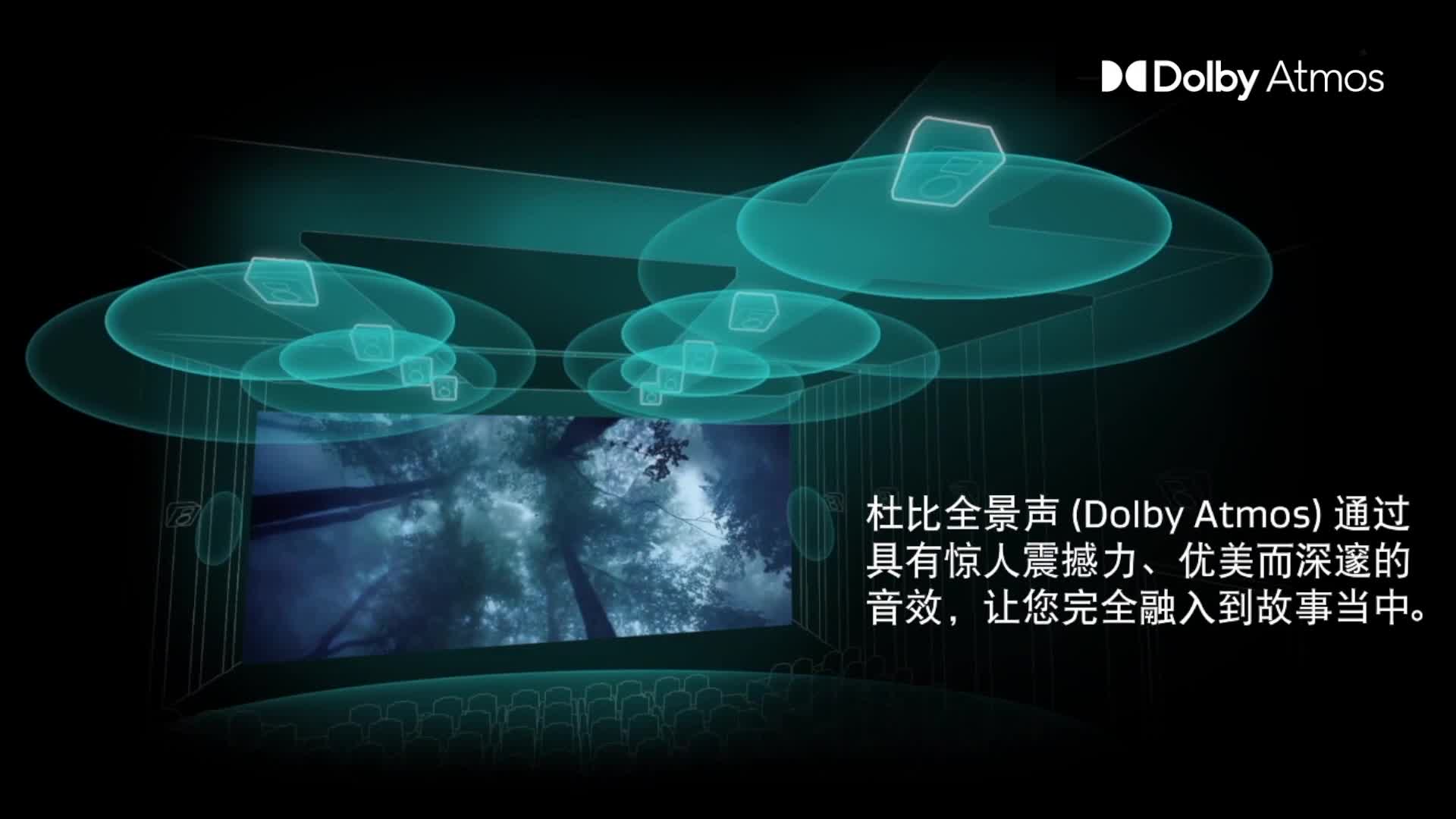 音效杜比和DTS的区别_音效杜比是什么意思_杜比音效