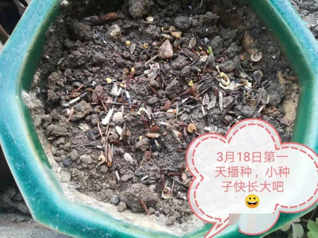 养女儿游戏_养女儿游戏攻略_养女儿游戏如何解锁所有衣服