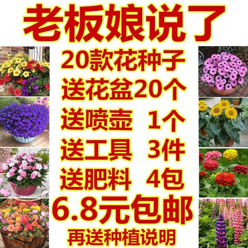养女儿游戏攻略_养女儿游戏_养女儿游戏如何解锁所有衣服