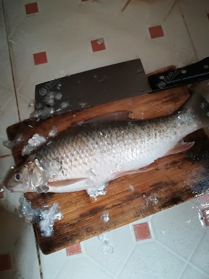 星露谷物语鬼鱼哪里钓_星露谷物语钓鱼+1是什么意思_钓鱼星露谷物语