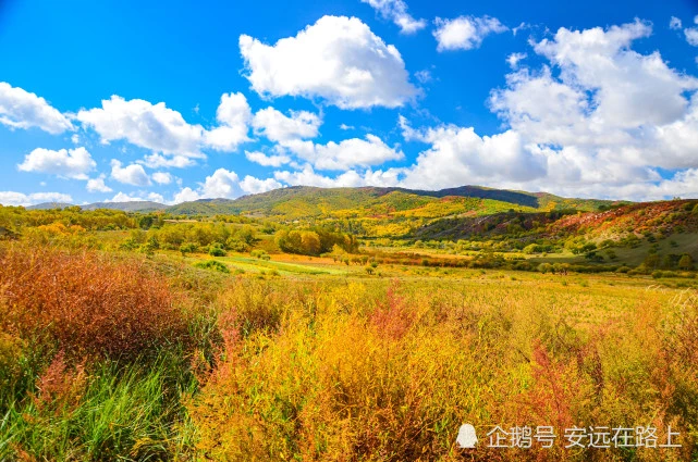 立秋在2020年哪一天_2022年立秋是哪天_2021年立秋就是秋天了吗