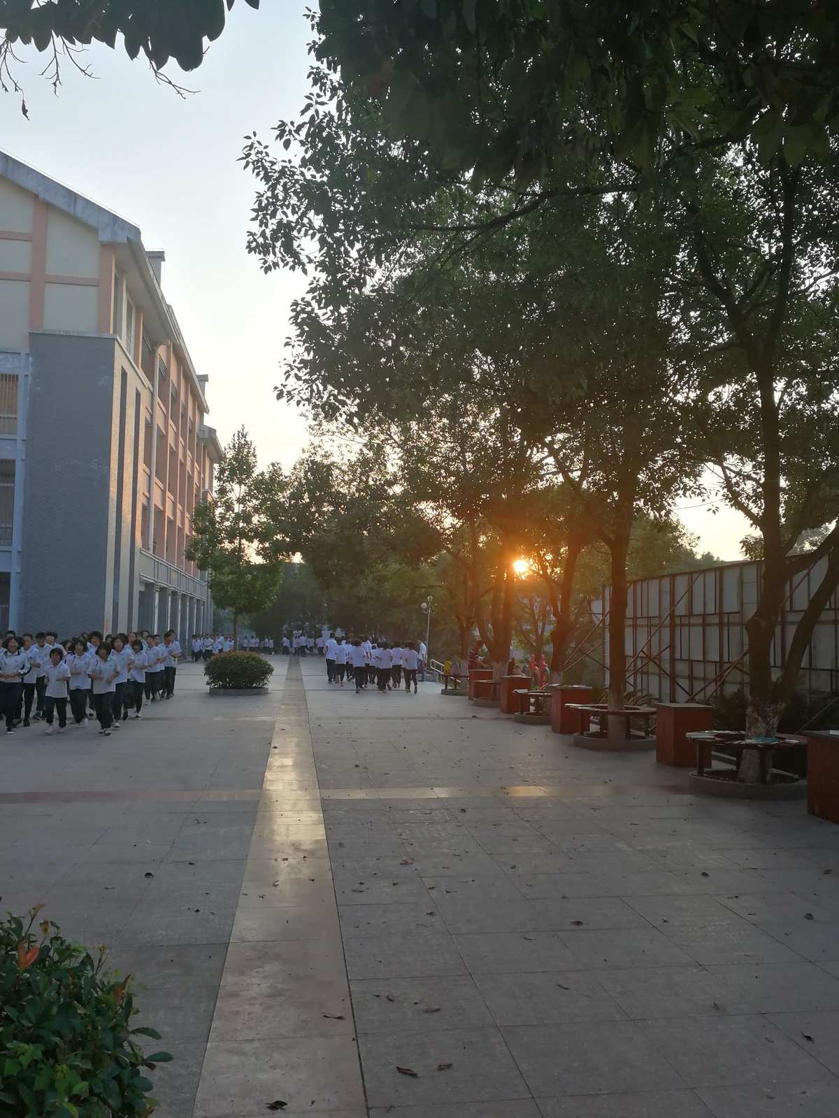 晨曦时梦见兮是r18吗_晨曦时梦见兮是什么意思_晨曦时梦见兮