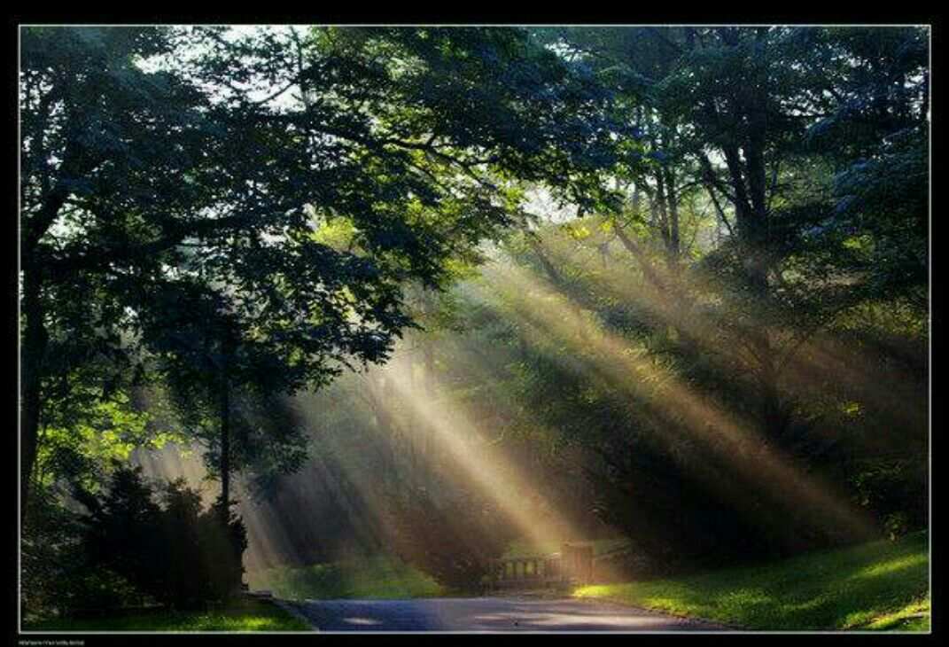 晨曦时梦见兮_晨曦时梦见兮是什么意思_晨曦时梦见兮是r18吗