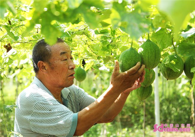 农场手机游戏单机破解_农场手机游戏没有进度_手机游戏农场ios
