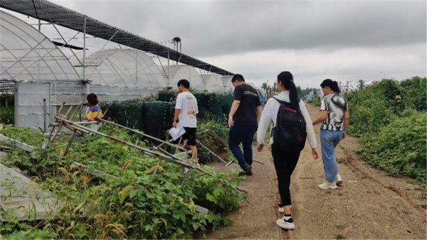 种田网络手机游戏_种田网络手机游戏有哪些_种田类手机游戏