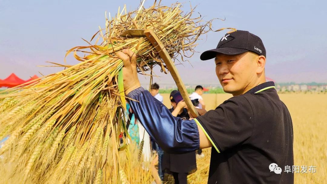 手机推塔游戏游戏多人联机_手机下乡游戏_适合手机的游戏