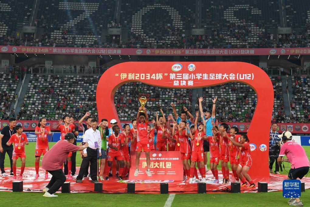 足球小将大空翼踢什么位置_足球小将大空翼_小将足球大空翼是谁