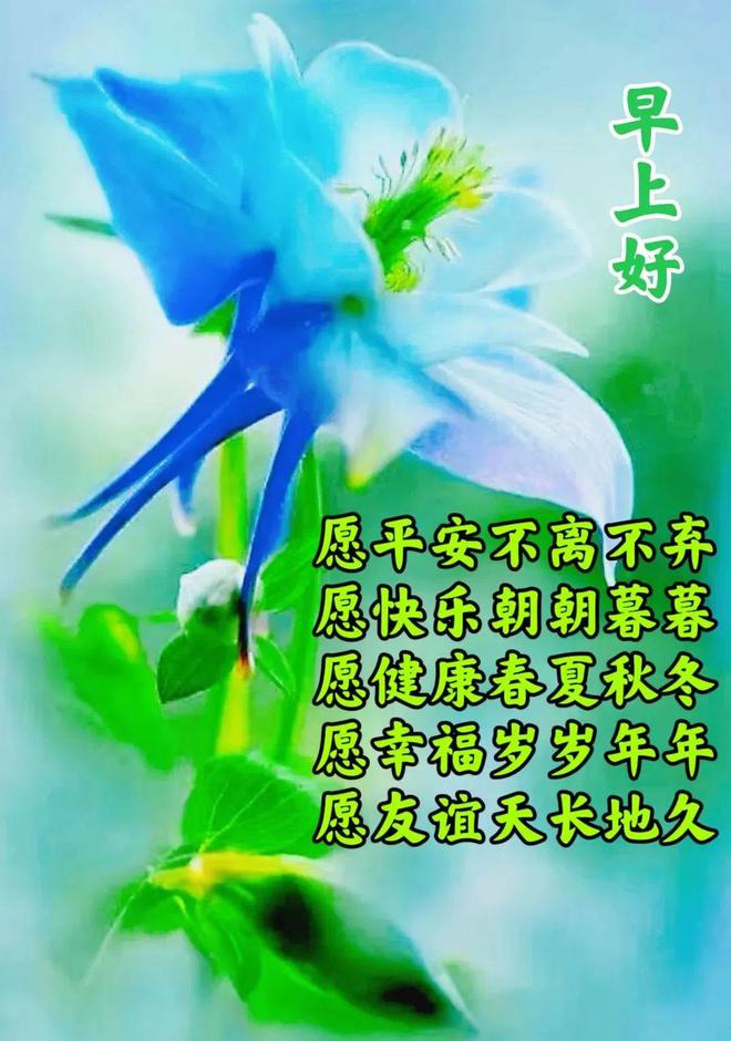红酒烩鸡的做法_红酒烩鸡_红酒烩鸡2