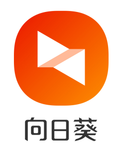 远程桌面出现了内部错误-远程办公遇内部错误提示，电脑任性让人超级不爽，该如何解决？