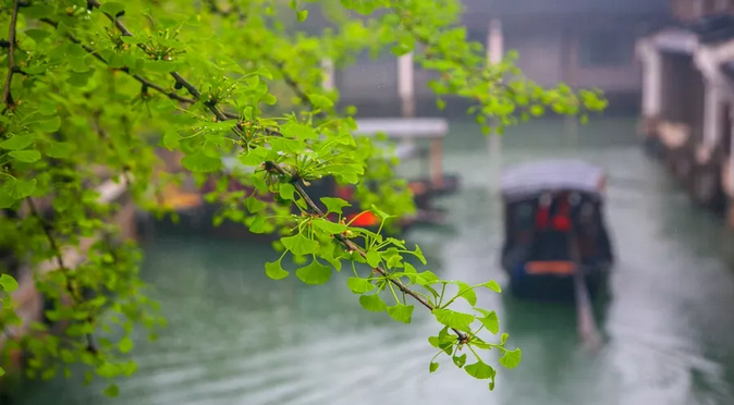 手机游戏 惊梦_惊梦游戏_惊梦手机游戏怎么玩