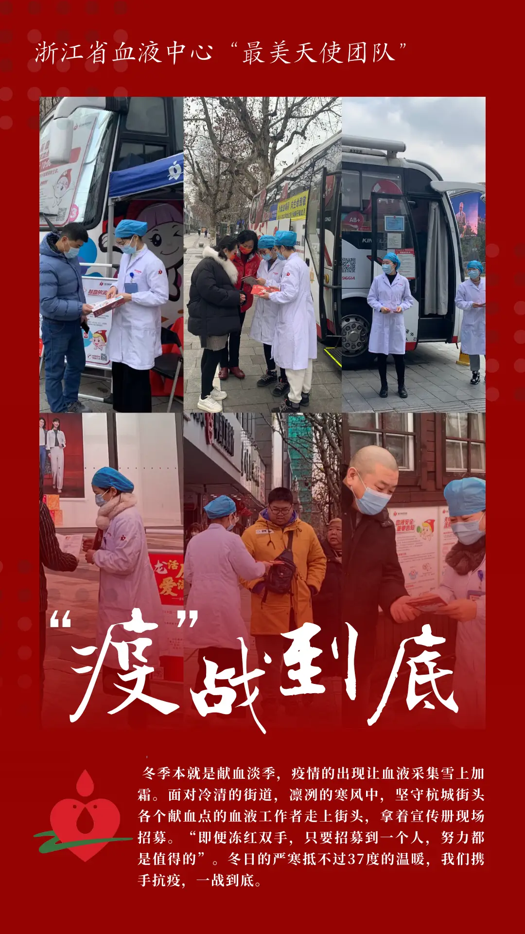 华南兔_华南兔_华南兔