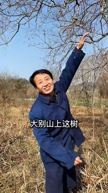 手机上童年游戏大全破解版_童年游戏大全软件_童年游戏盒子软件