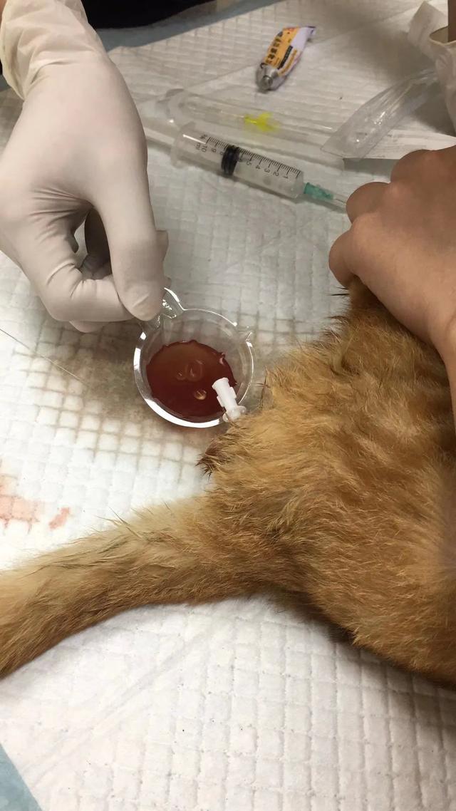 萍水相腐檐廊下_萍水相腐檐廊下_萍水相腐檐廊下