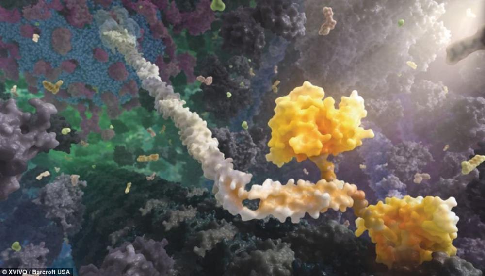 手机游戏策略类_手机游戏策略战争_手机游戏cells