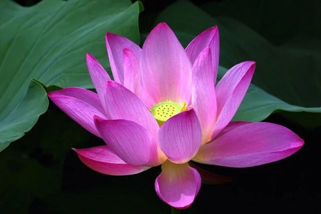 游戏后台管理系统_手机游戏后台挂件_游戏后台是什么