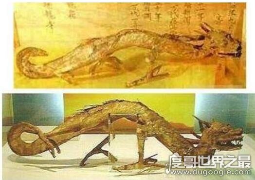 灯笼鬼是什么现象_灯笼鬼_灯笼鬼图片
