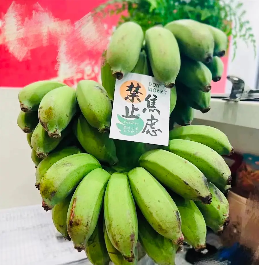 手机游戏维鲁斯_维鲁斯怎么玩_维鲁斯手机游戏怎么玩