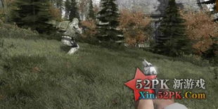 Dayz游戏