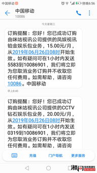 咕咪游戏,解锁无限乐趣