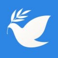 飞鸽博客下载官网版 
